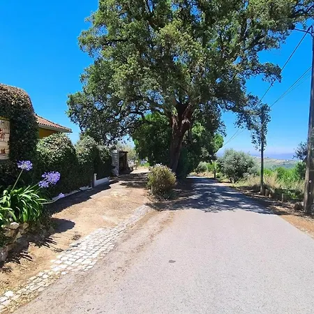 Haus In Einem Bauernhof Zwischen Weinbergen 2 Feriehus Ribafria
